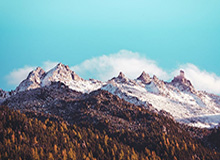 开云体育-中国篮协主席：仍和姚明沟通决策，王治郅为国家队随叫随到